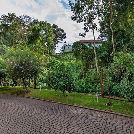 Rosa Edificio Parque Da Vinicola Apartment Грамаду Екстериор снимка